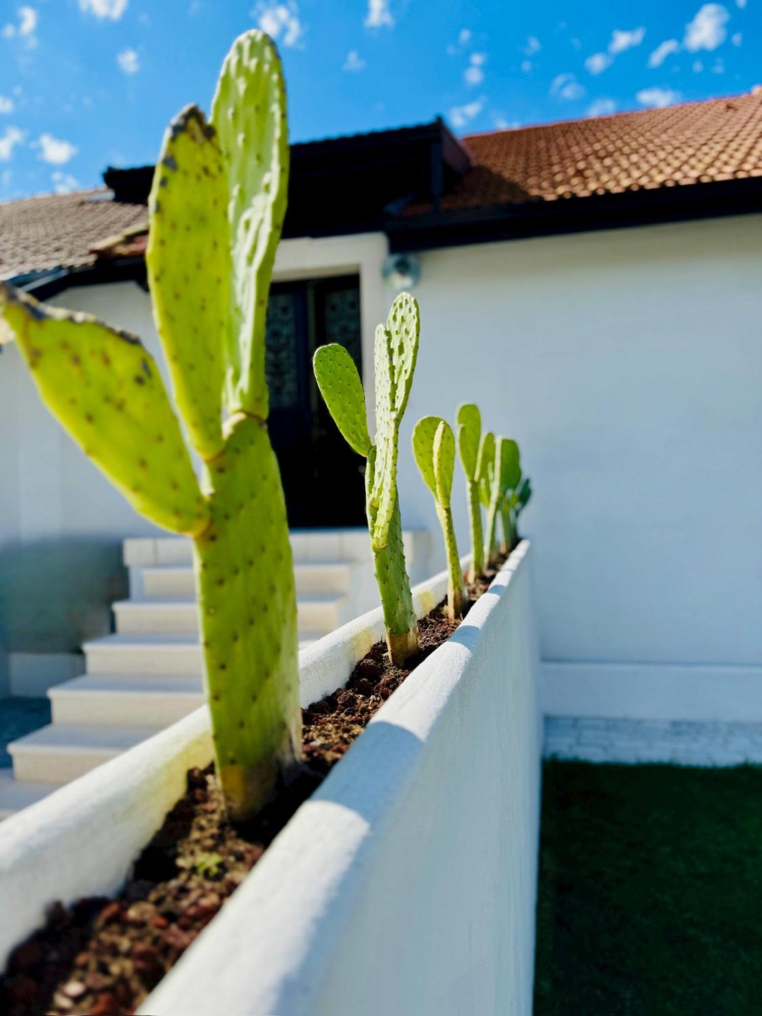 Green Garage Μπαγιόν Εξωτερικό φωτογραφία